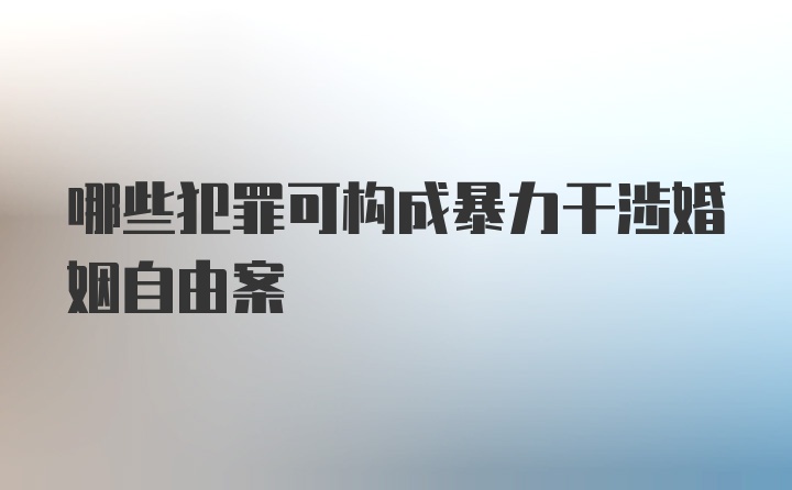 哪些犯罪可构成暴力干涉婚姻自由案