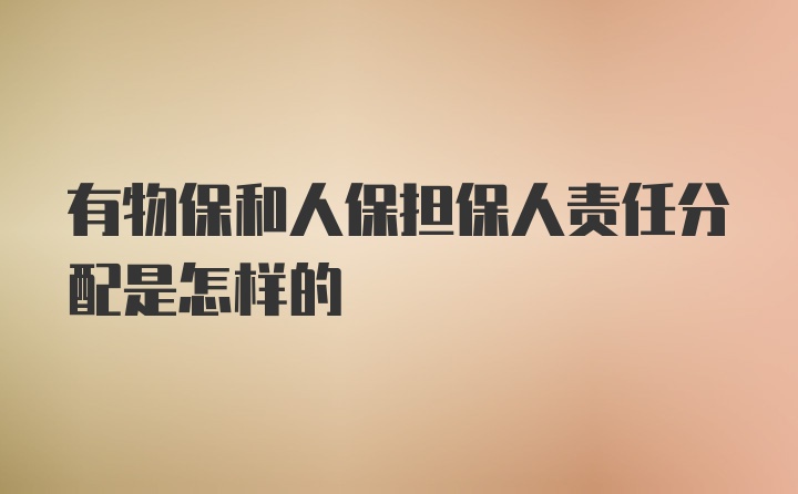 有物保和人保担保人责任分配是怎样的