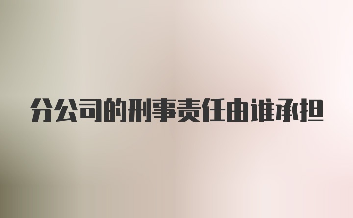 分公司的刑事责任由谁承担