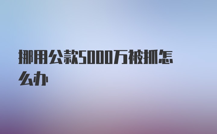 挪用公款5000万被抓怎么办