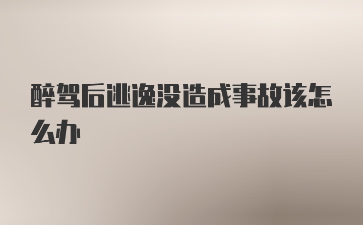 醉驾后逃逸没造成事故该怎么办