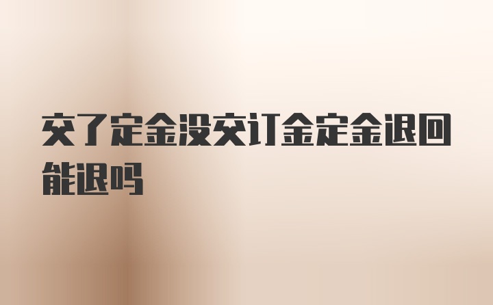 交了定金没交订金定金退回能退吗