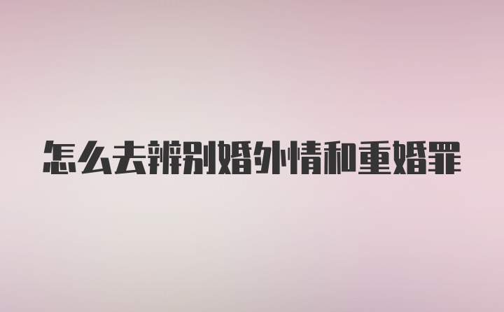 怎么去辨别婚外情和重婚罪