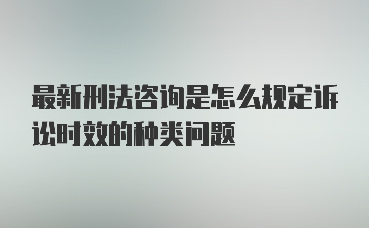 最新刑法咨询是怎么规定诉讼时效的种类问题