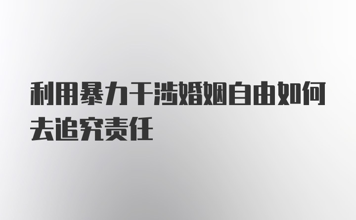 利用暴力干涉婚姻自由如何去追究责任