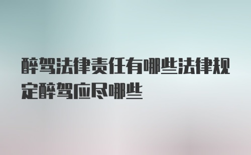 醉驾法律责任有哪些法律规定醉驾应尽哪些