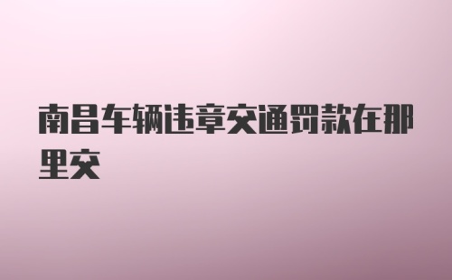 南昌车辆违章交通罚款在那里交