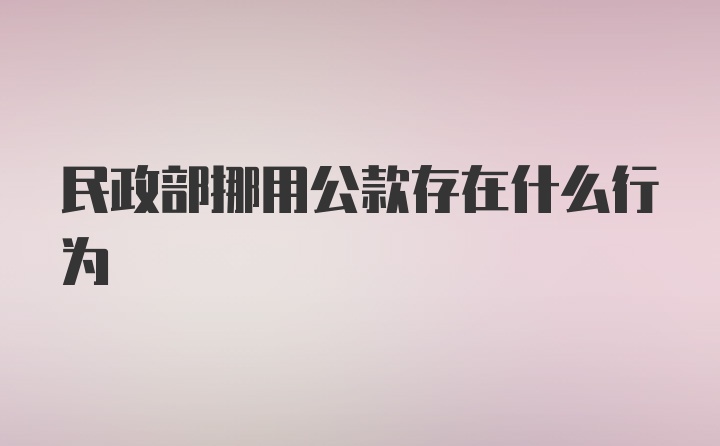 民政部挪用公款存在什么行为