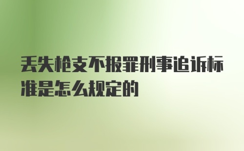 丢失枪支不报罪刑事追诉标准是怎么规定的