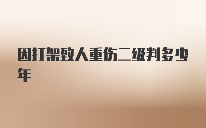 因打架致人重伤二级判多少年