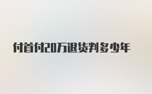 付首付20万退货判多少年