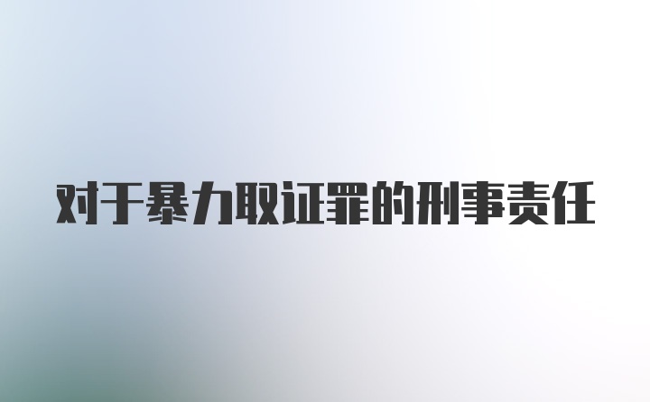 对于暴力取证罪的刑事责任