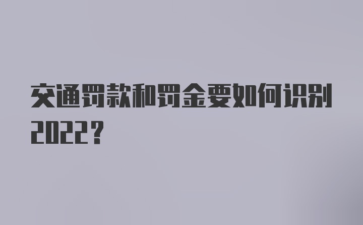 交通罚款和罚金要如何识别2022？