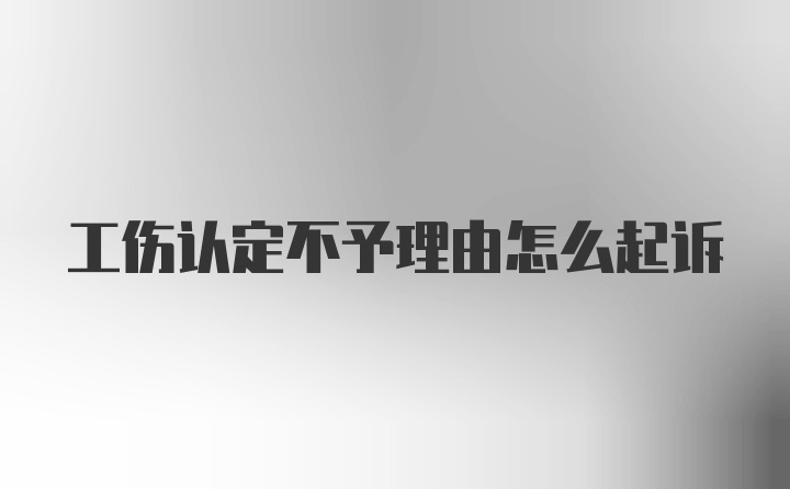 工伤认定不予理由怎么起诉