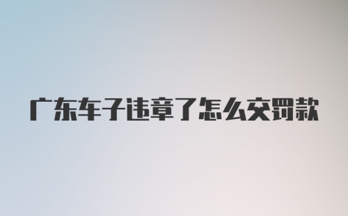 广东车子违章了怎么交罚款