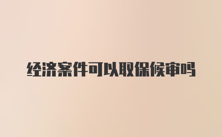 经济案件可以取保候审吗