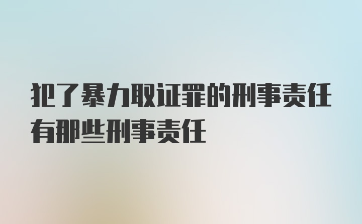 犯了暴力取证罪的刑事责任有那些刑事责任