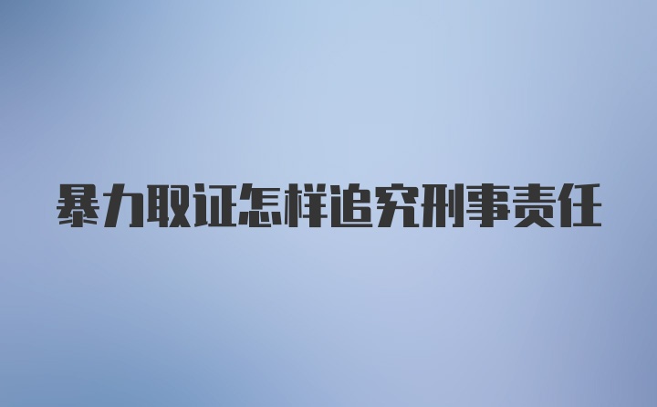 暴力取证怎样追究刑事责任