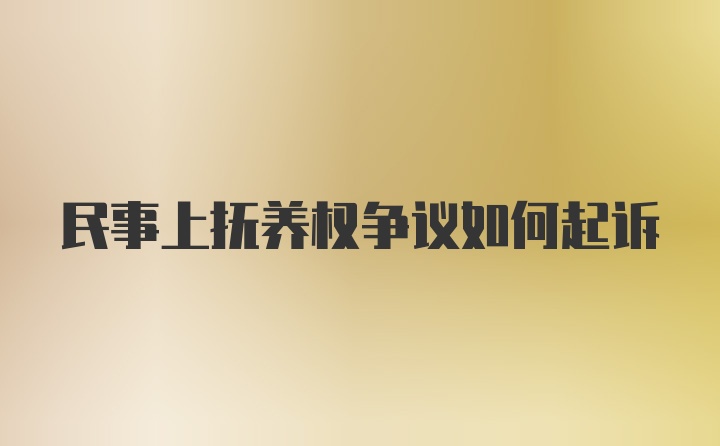 民事上抚养权争议如何起诉