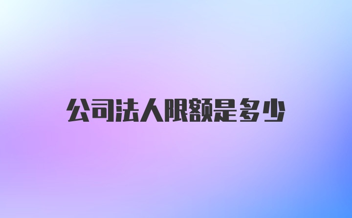 公司法人限额是多少