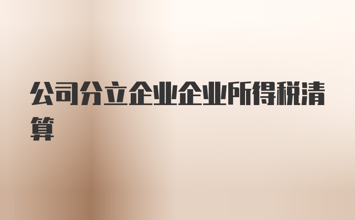 公司分立企业企业所得税清算