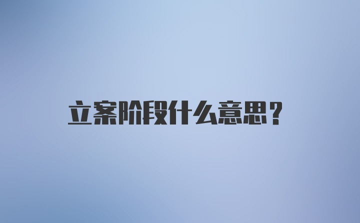 立案阶段什么意思？