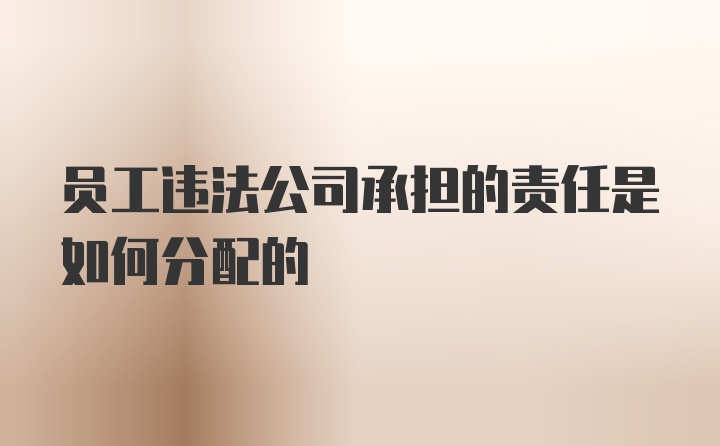 员工违法公司承担的责任是如何分配的