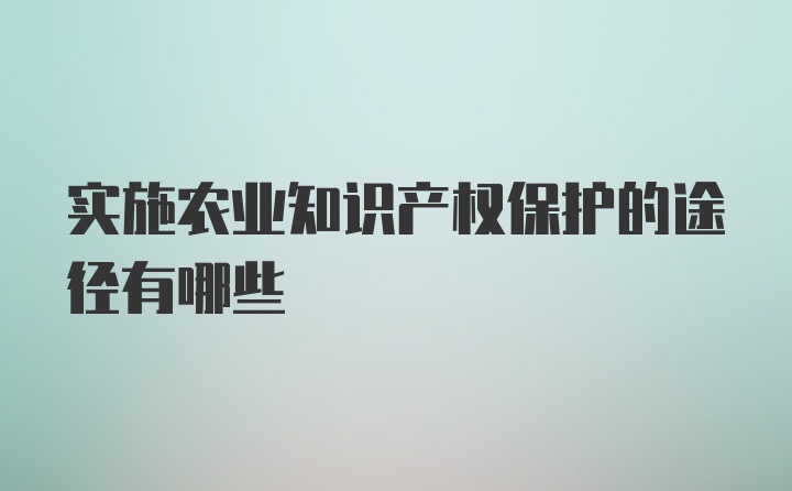 实施农业知识产权保护的途径有哪些