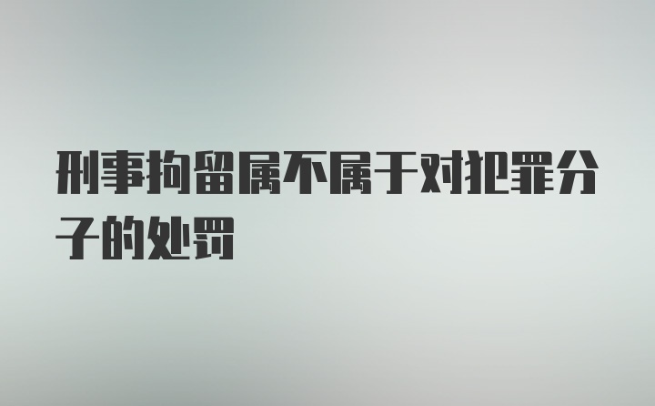 刑事拘留属不属于对犯罪分子的处罚