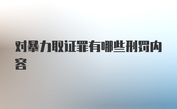 对暴力取证罪有哪些刑罚内容