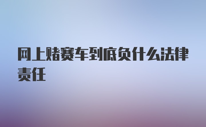 网上赌赛车到底负什么法律责任