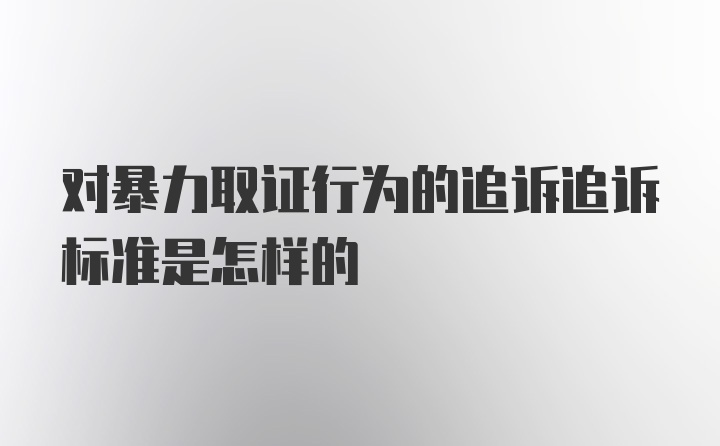 对暴力取证行为的追诉追诉标准是怎样的