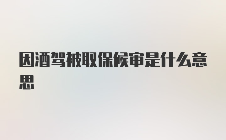 因酒驾被取保候审是什么意思