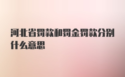 河北省罚款和罚金罚款分别什么意思