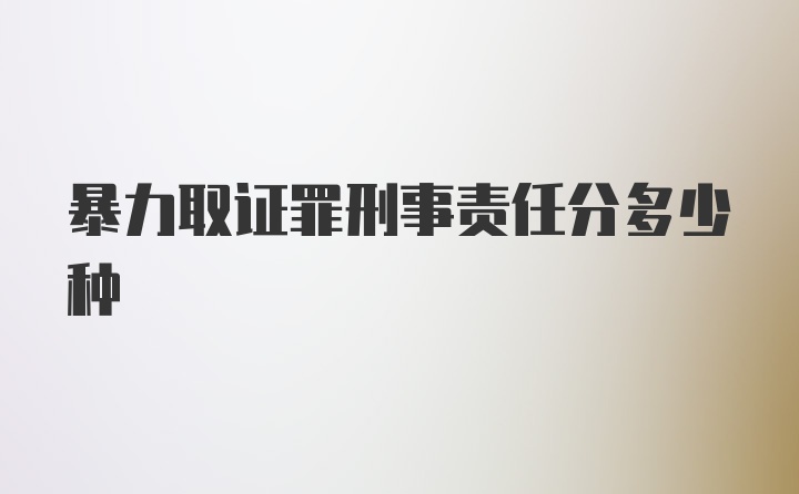 暴力取证罪刑事责任分多少种