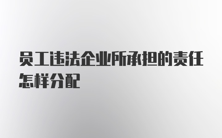 员工违法企业所承担的责任怎样分配