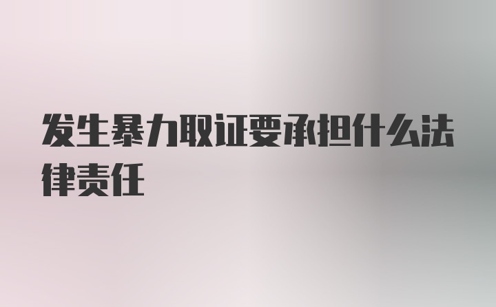 发生暴力取证要承担什么法律责任