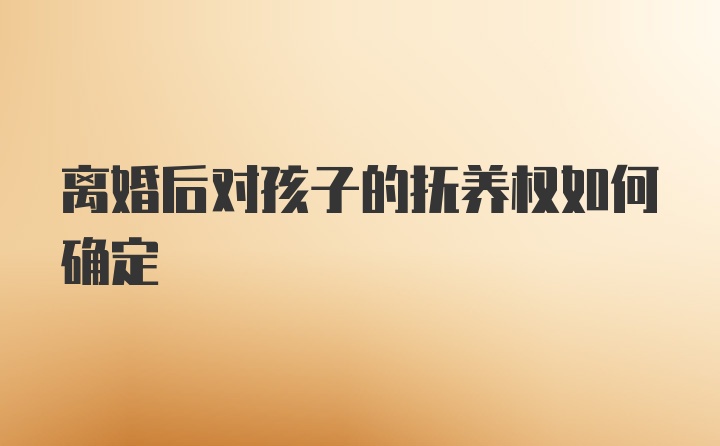 离婚后对孩子的抚养权如何确定