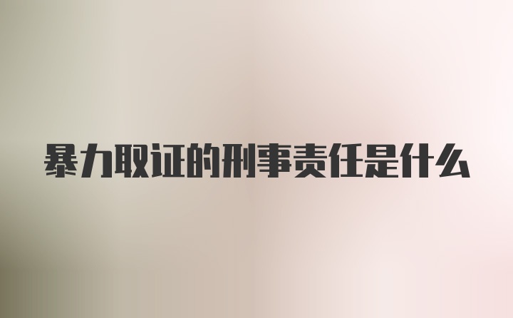 暴力取证的刑事责任是什么