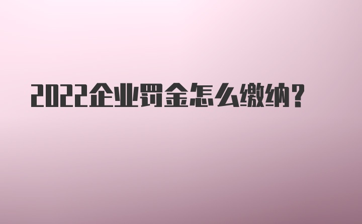 2022企业罚金怎么缴纳？