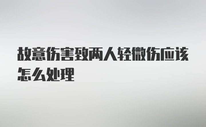 故意伤害致两人轻微伤应该怎么处理