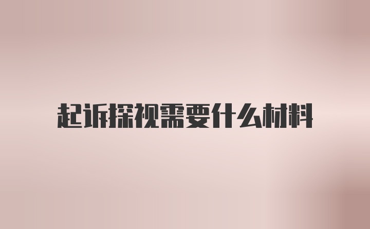 起诉探视需要什么材料