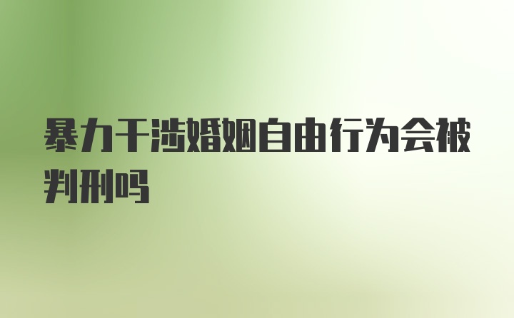 暴力干涉婚姻自由行为会被判刑吗