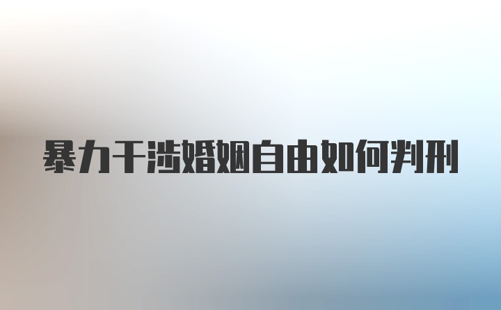 暴力干涉婚姻自由如何判刑