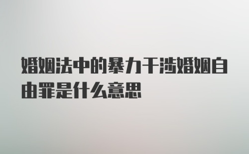 婚姻法中的暴力干涉婚姻自由罪是什么意思