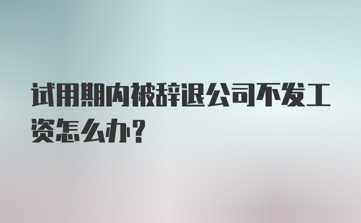 试用期内被辞退公司不发工资怎么办？