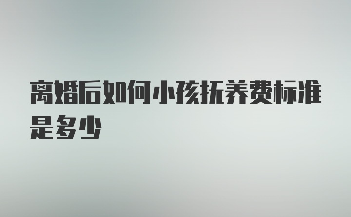 离婚后如何小孩抚养费标准是多少