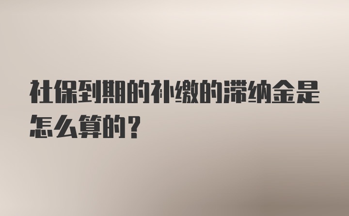 社保到期的补缴的滞纳金是怎么算的？