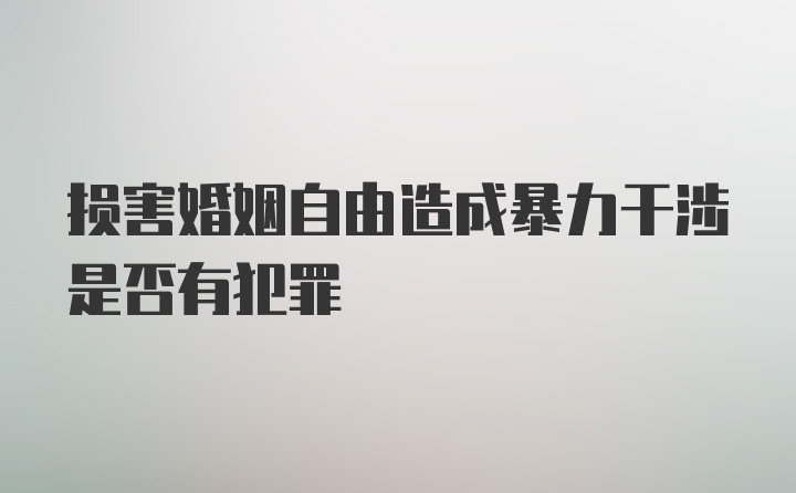 损害婚姻自由造成暴力干涉是否有犯罪