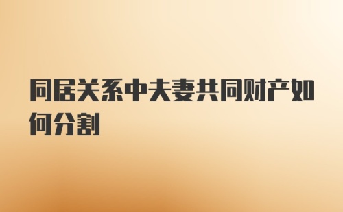 同居关系中夫妻共同财产如何分割